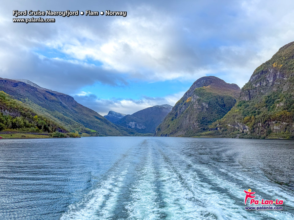 Fjord Cruise Naeroyfjord